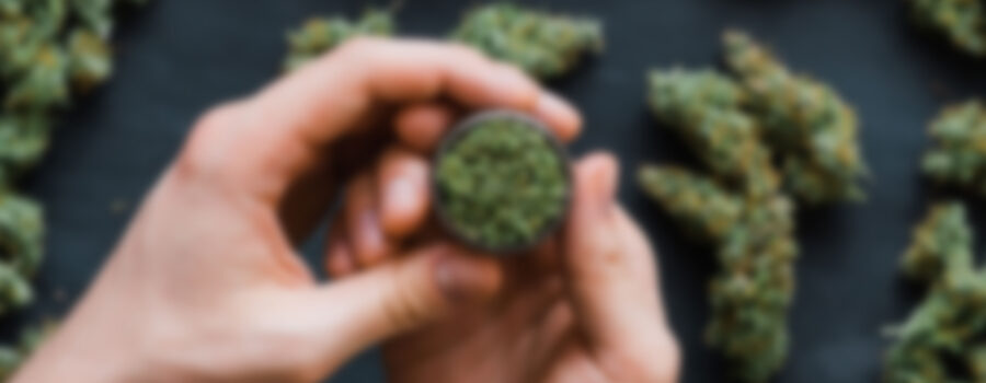 https://nueva2025.zonadefutbol.es/wp-content/uploads/2020/04/img_cannafarm_10-900x350.jpg